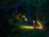 Foto di un giardino con siepi e piante illuminato la sera da una luce da giardino 
