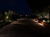 Vialetto con piante illuminato di notte da dei faretti da esterno