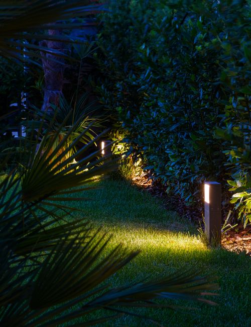 Foto di un giardino con siepi e piante illuminato la sera da una luce da giardino