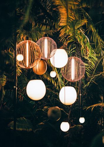 Lampade a sospensione di forma circolare che illuminano delle piante 