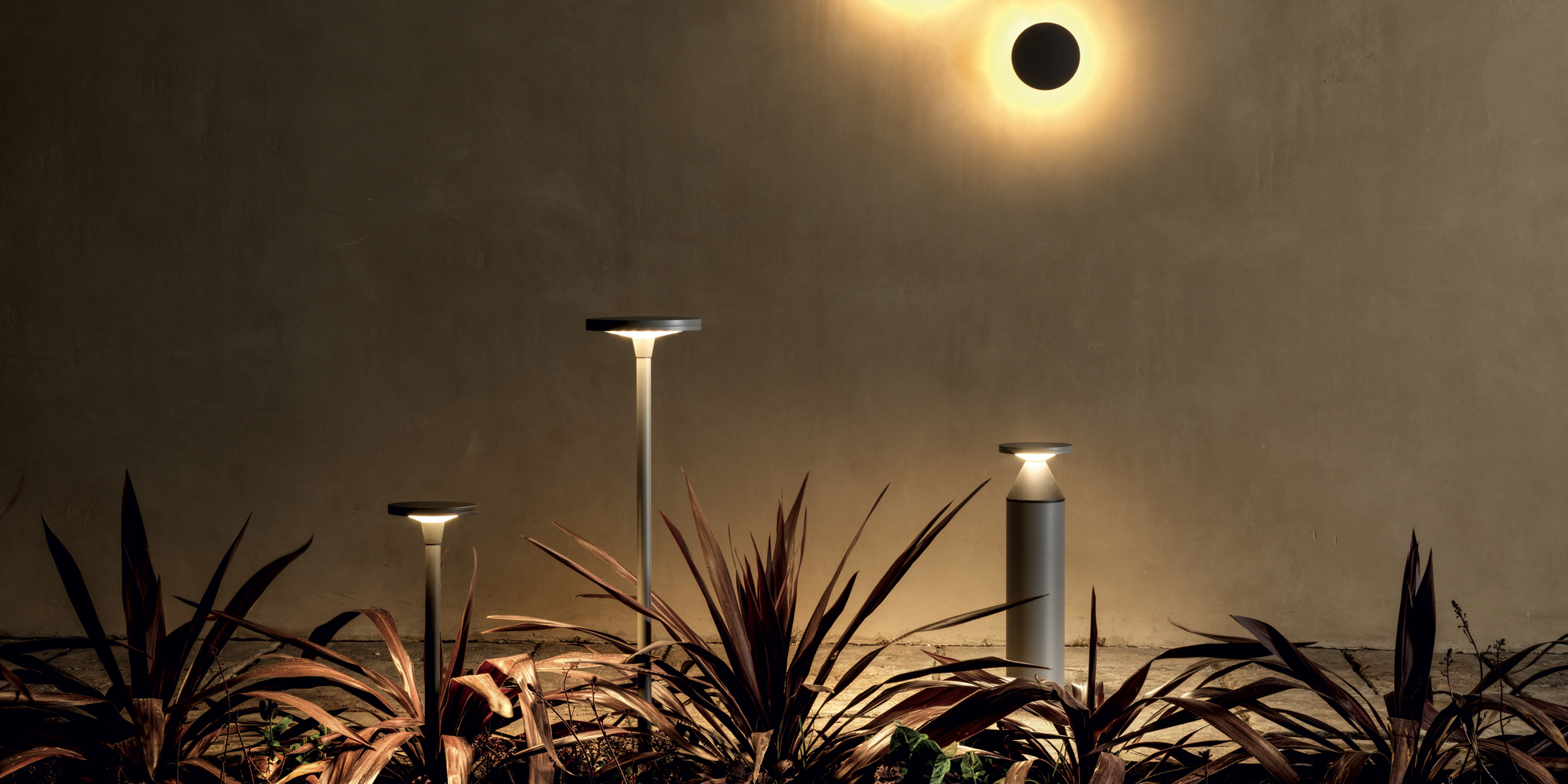 Lampade da terra con piante in primo piano