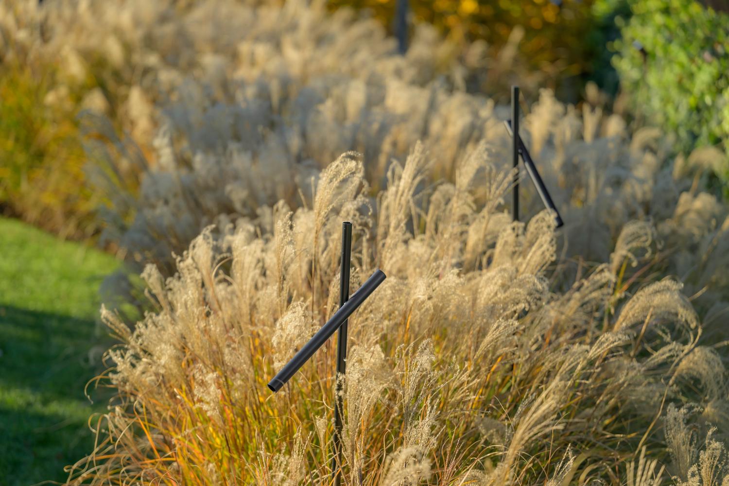 Lampada della Collezione Shanghai di Platek, posizionata in mezzo alle steppaglie