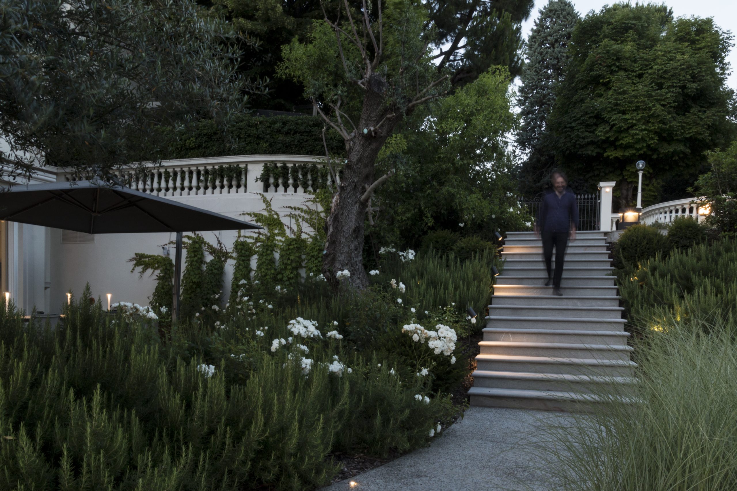 Bellissimo giardino con siepi, con una scalinata illuminata da faretti e un uomo che scende le scale