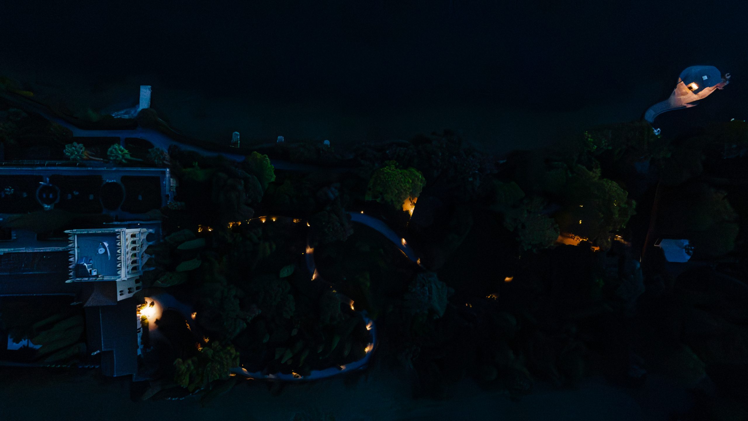 Foto dall'alto scattata con un drone di una strada in mezzo agli alberi illuminata da dei lampioni