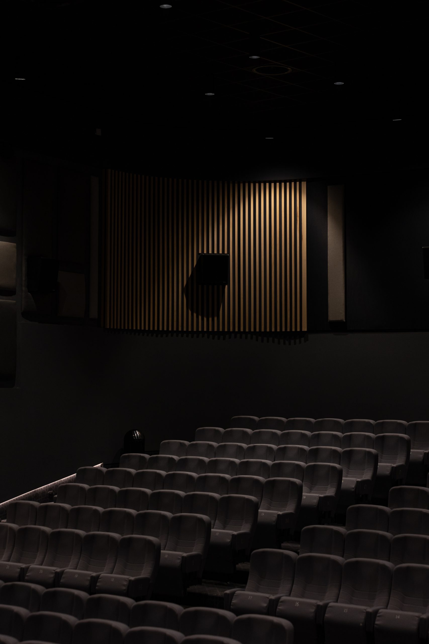 Proiettori LED Intra Lighting installati sul soffitto del Cinema