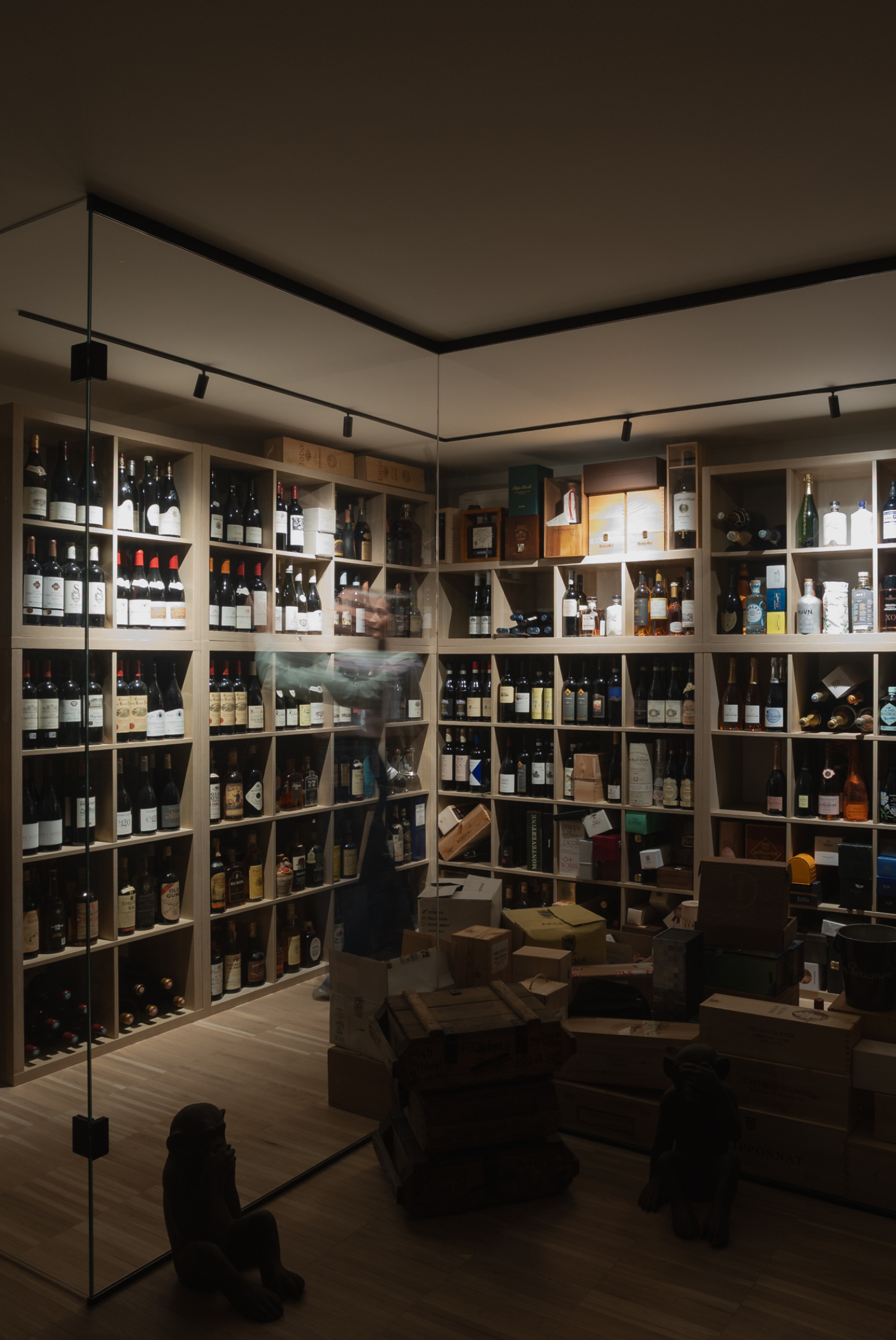 Cantina vini in casa illuminata con binario tecnico