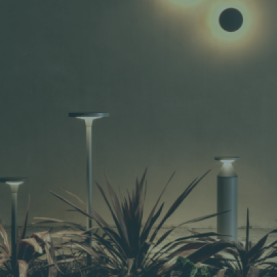 Lampade da terra con delle piantine in primo piano