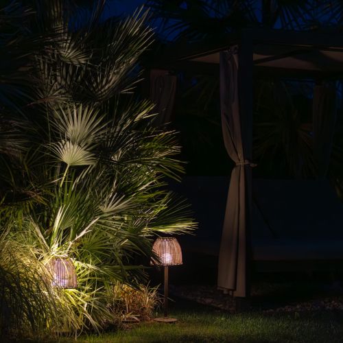 Illuminazione alberi con faretti da esterno