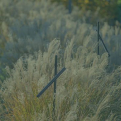 Lampada da terra in mezzo alle steppaglie